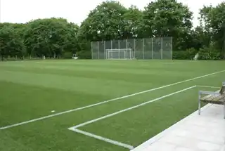 Sports Lawn